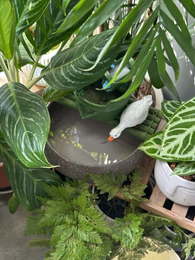Plant Therapy before