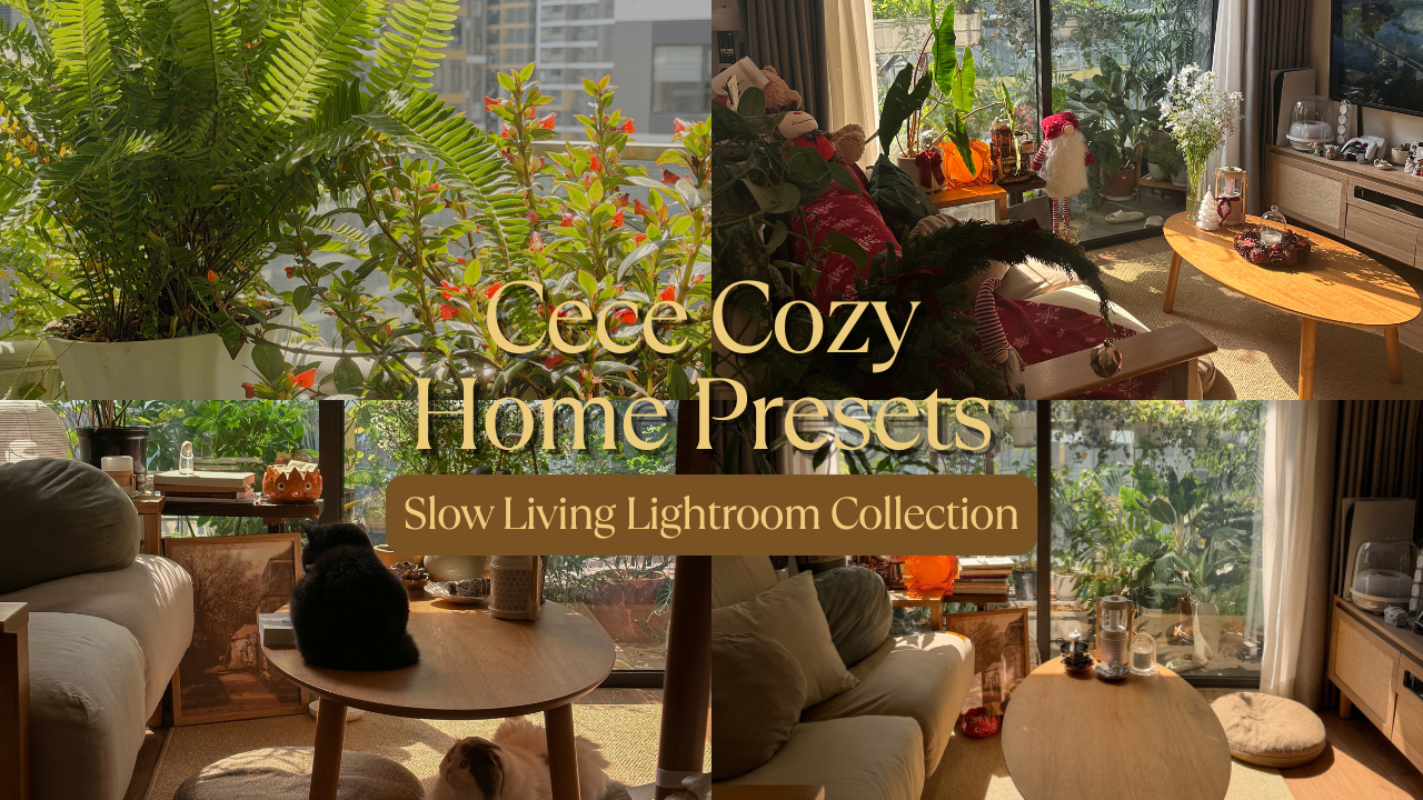 Cece Cozy Home Lightroom Presets